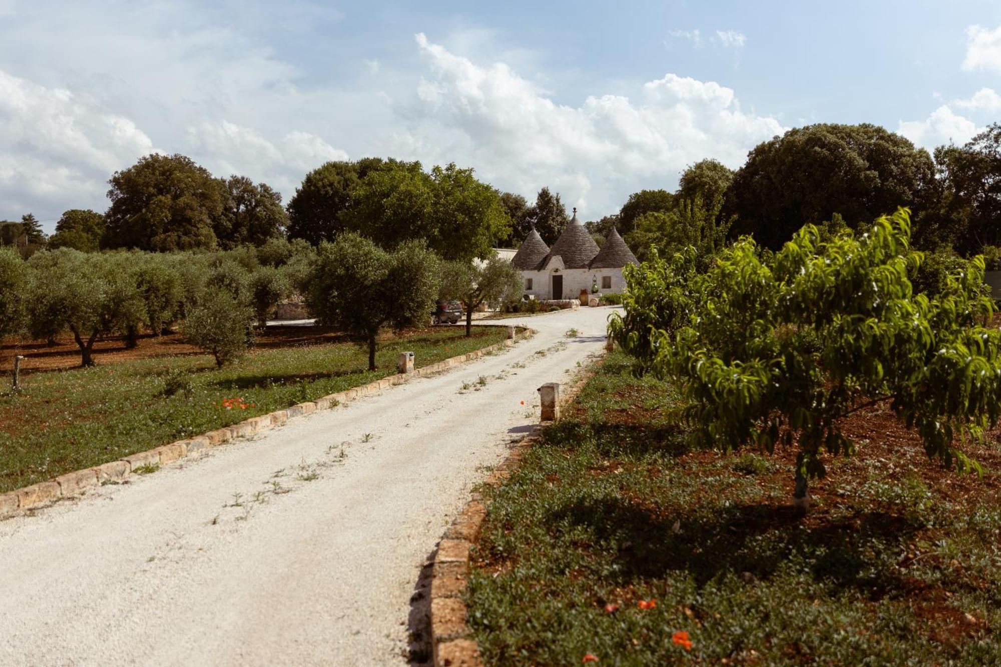 לוקורוטונדו Il Trullo Di Pozzallegro מראה חיצוני תמונה